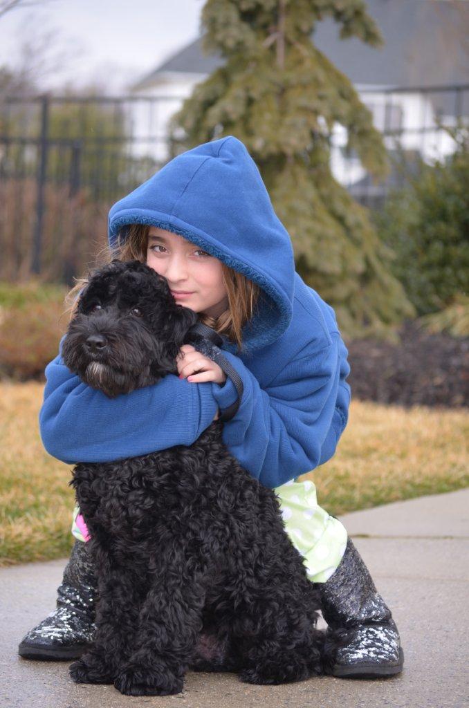 Black Silk Australian Labradoodle