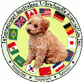 International Labradoodle Association